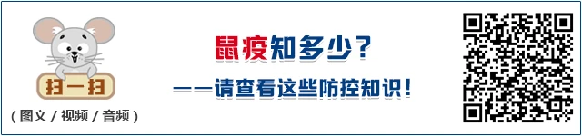 如何提升分卫的防守技巧_2